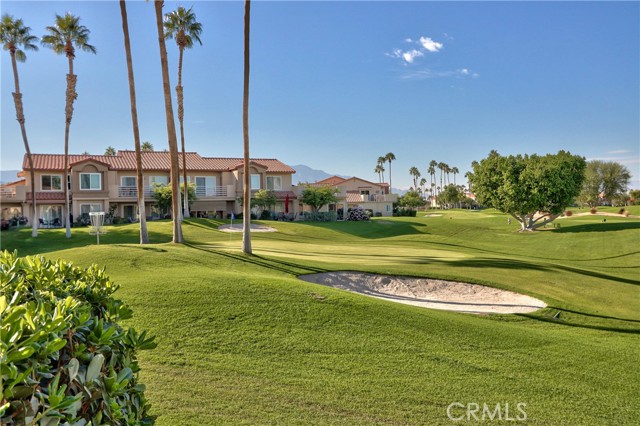 MLS #SW25260909 image #36