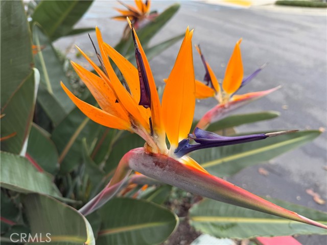 MLS #SW25261732 image #22