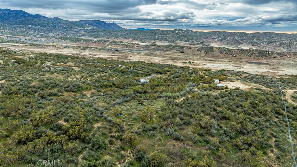 MLS #SW25261871 image #12