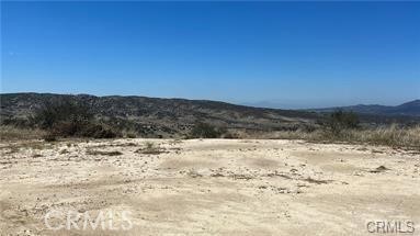 MLS #SW25261871 image #13