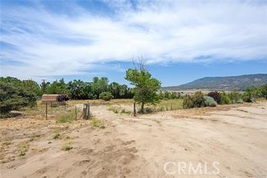 MLS #SW25262360 image #21