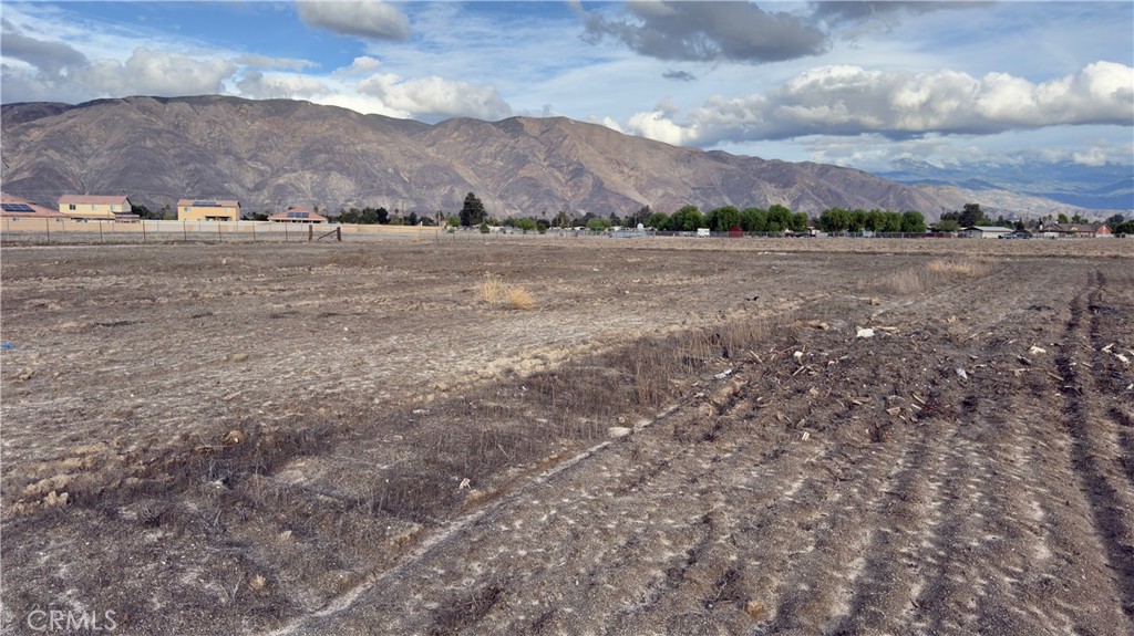 MLS #SW25262458 image #2