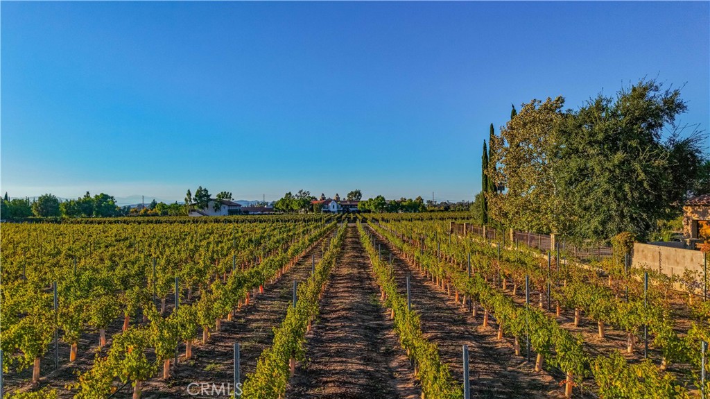 MLS #SW25262907 image #68