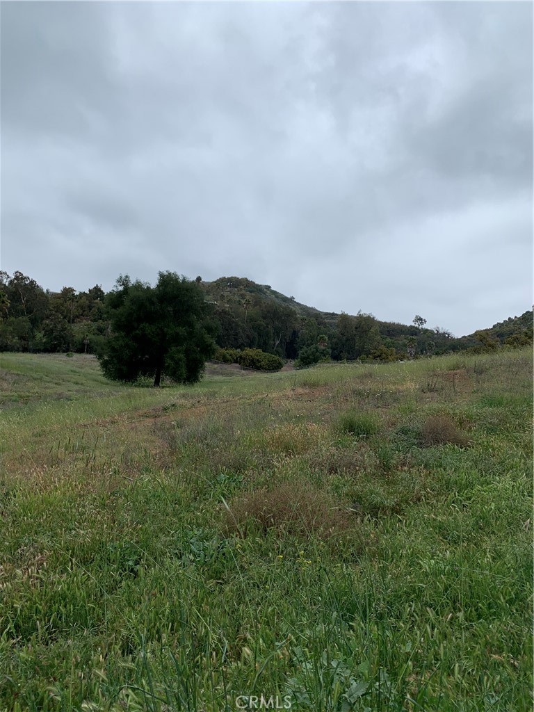 MLS #SW25263649 image #31