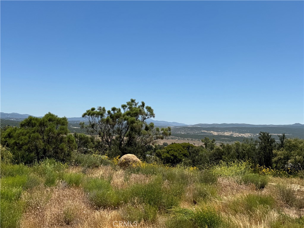 MLS #SW25263680 image #13