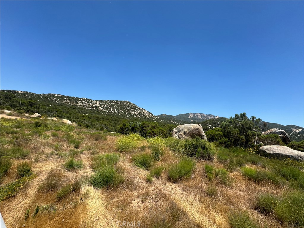 MLS #SW25263680 image #15