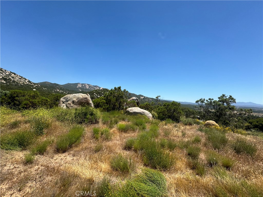 MLS #SW25263680 image #16