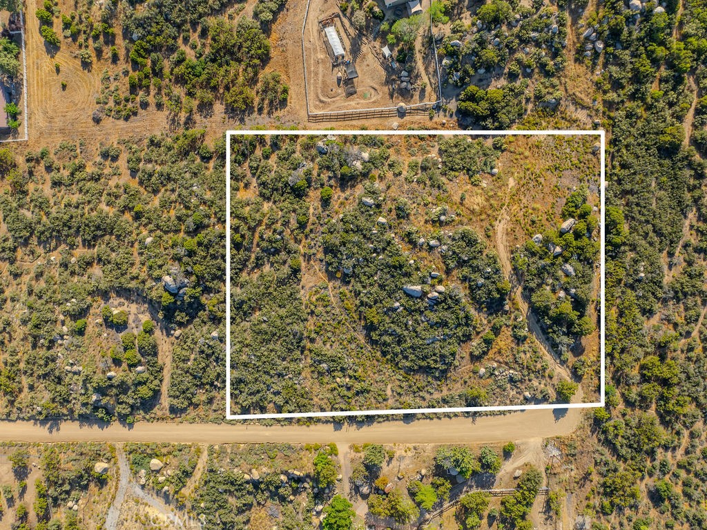 MLS #SW25263680 image #5