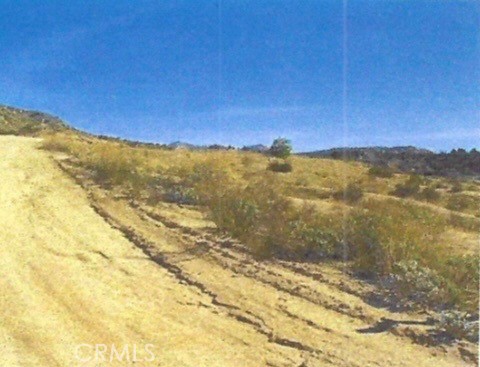 MLS #SW25263739 image #1