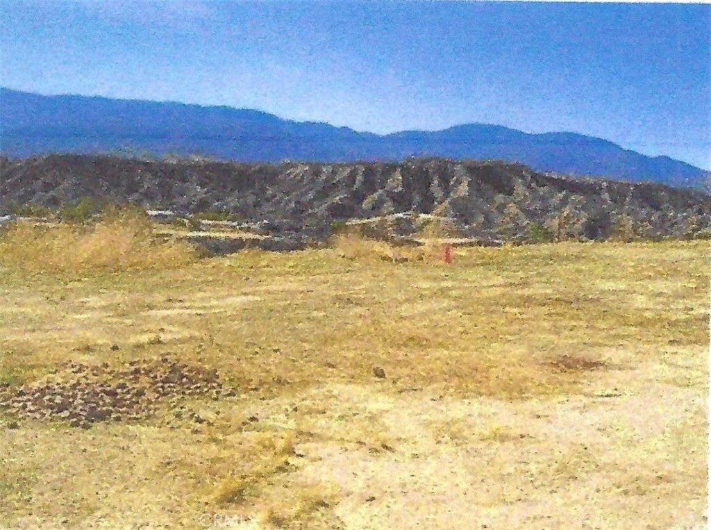 MLS #SW25263739 image #3