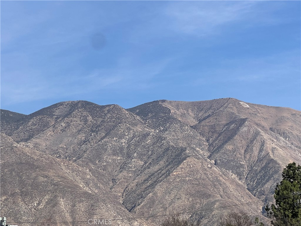 MLS #SW25263893 image #33