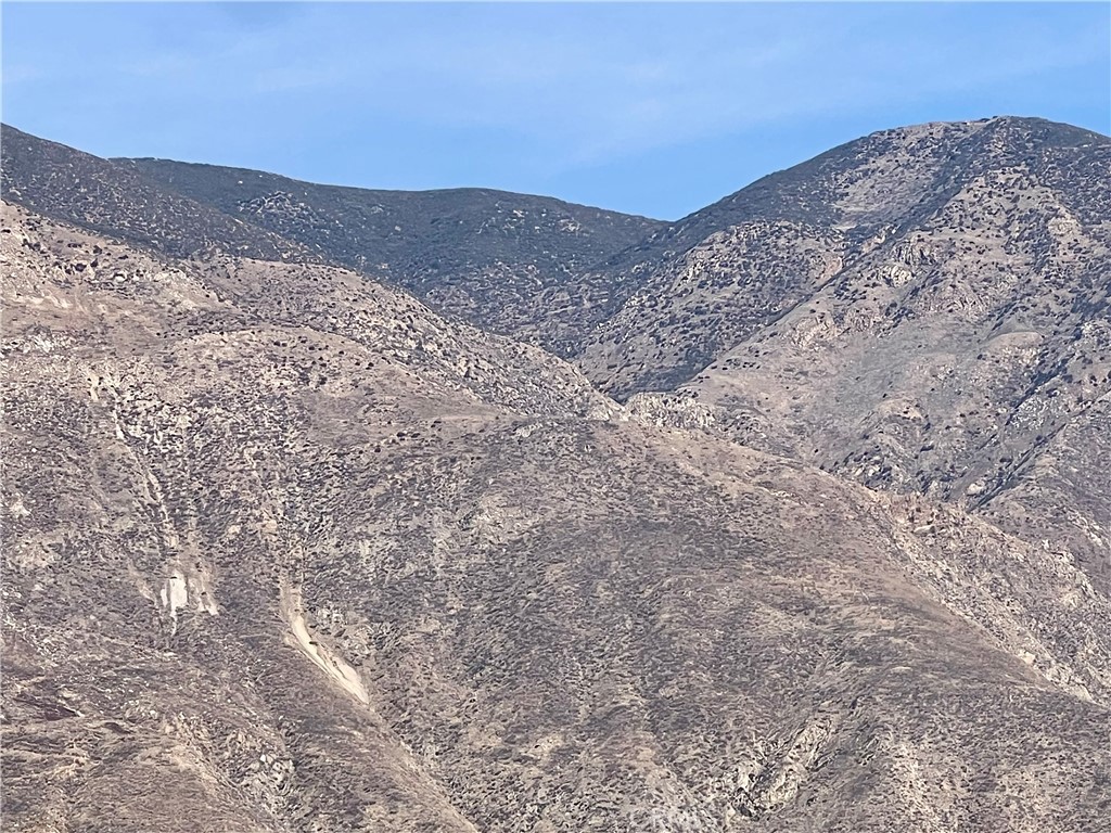 MLS #SW25263893 image #35