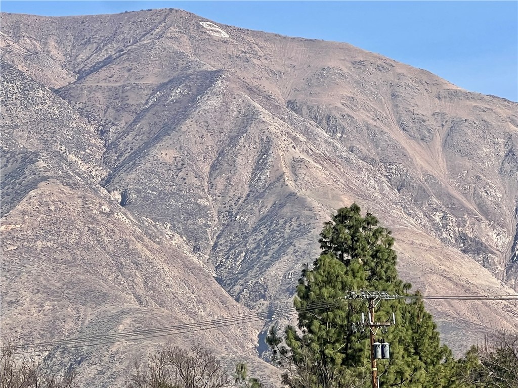 MLS #SW25263893 image #37