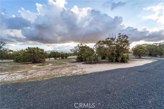 MLS #SW25263934 image #55