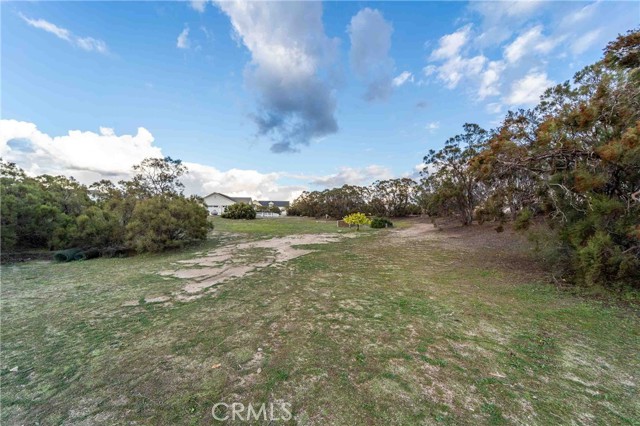 MLS #SW25263934 image #61