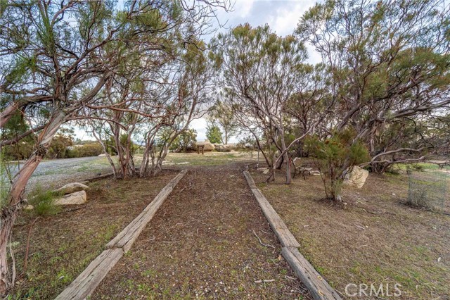 MLS #SW25263934 image #66