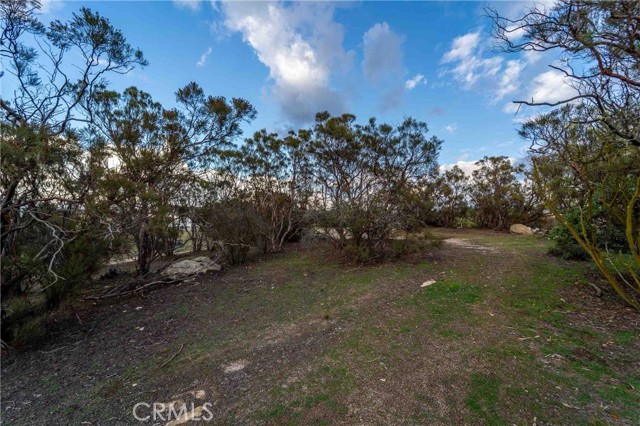 MLS #SW25263934 image #68