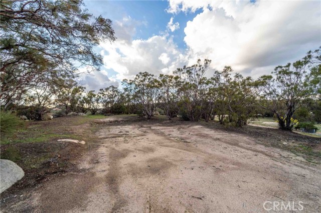 MLS #SW25263934 image #69