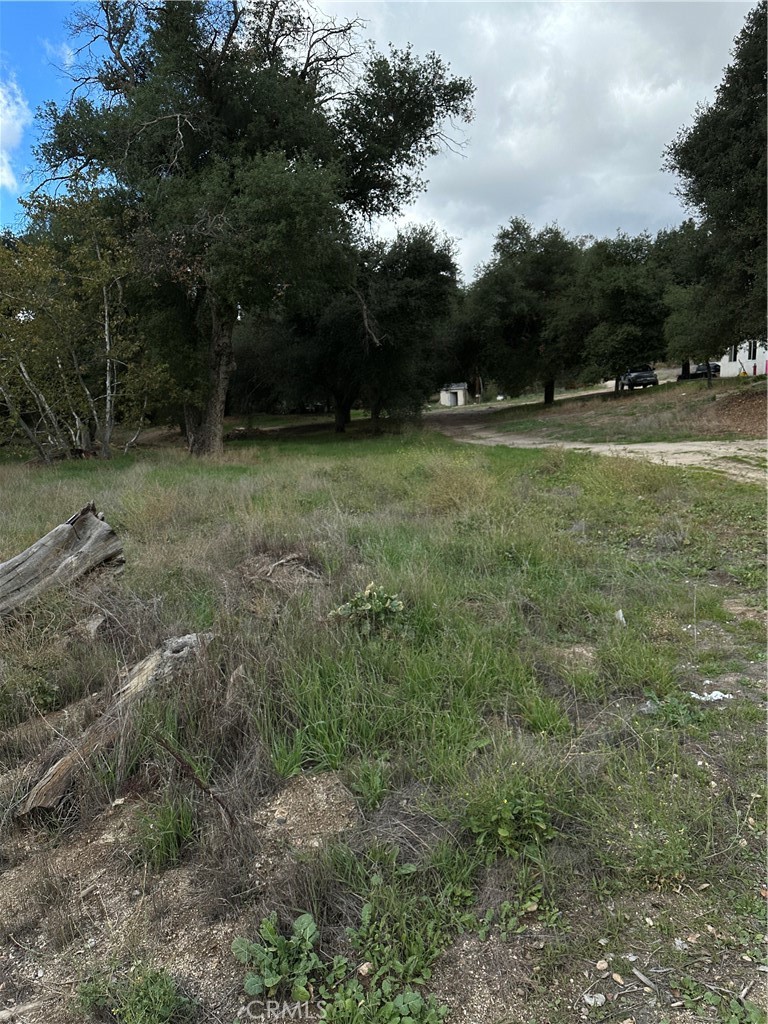 MLS #SW25264147 image #10