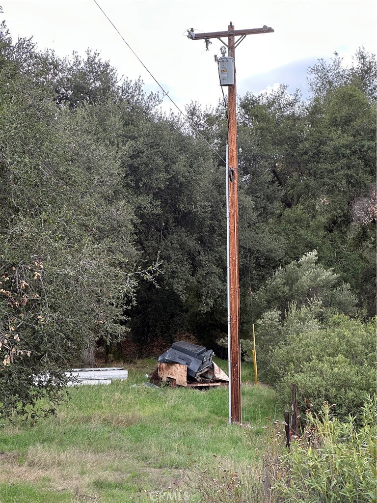 MLS #SW25264147 image #13