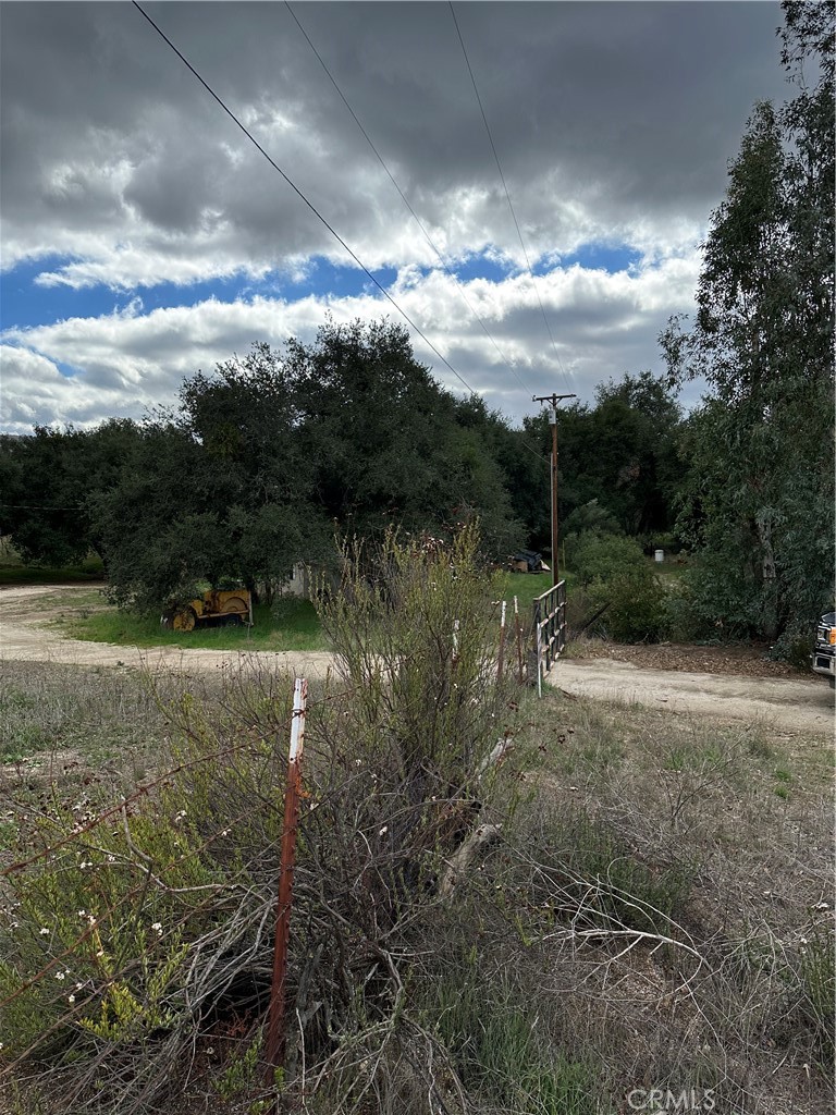 MLS #SW25264147 image #14