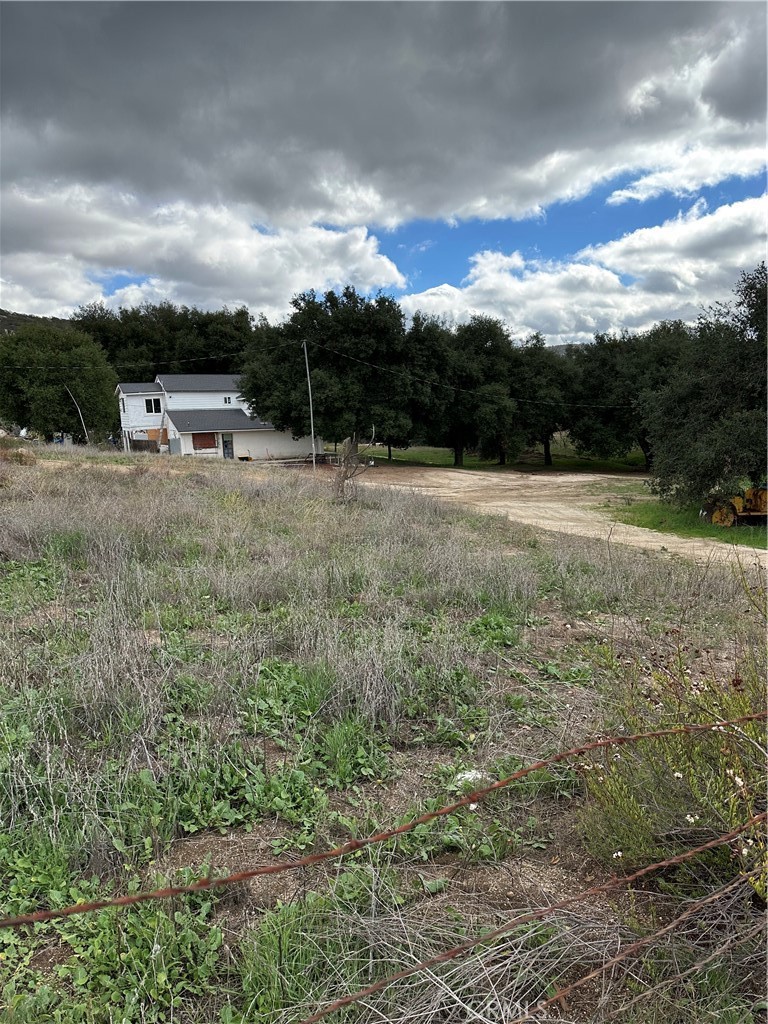 MLS #SW25264147 image #16