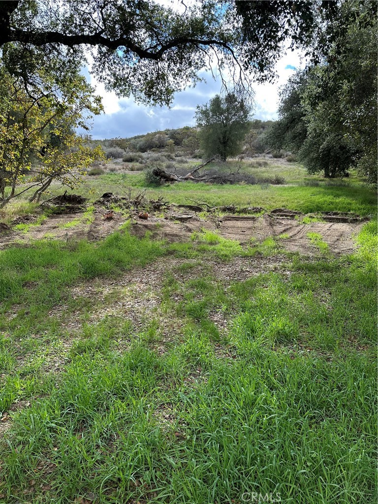 MLS #SW25264147 image #34