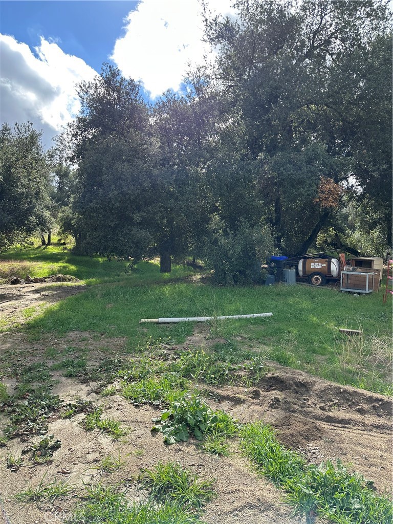 MLS #SW25264147 image #35