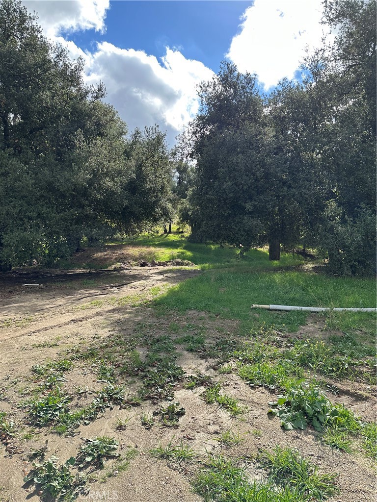 MLS #SW25264147 image #36