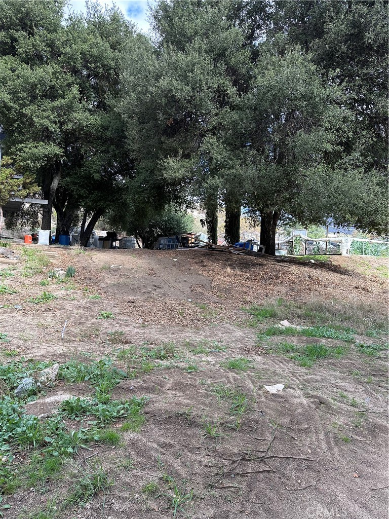 MLS #SW25264147 image #37