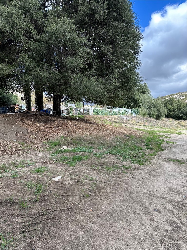 MLS #SW25264147 image #38