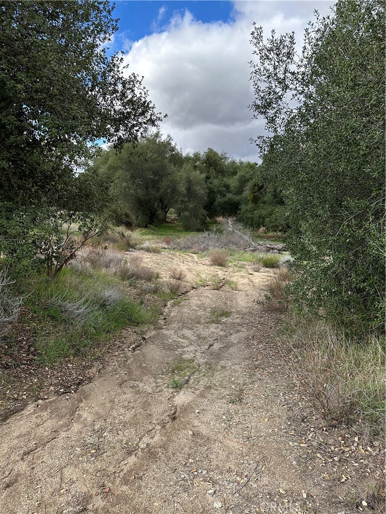 MLS #SW25264147 image #40