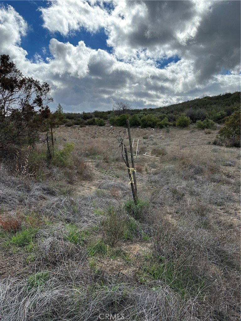 MLS #SW25264147 image #41