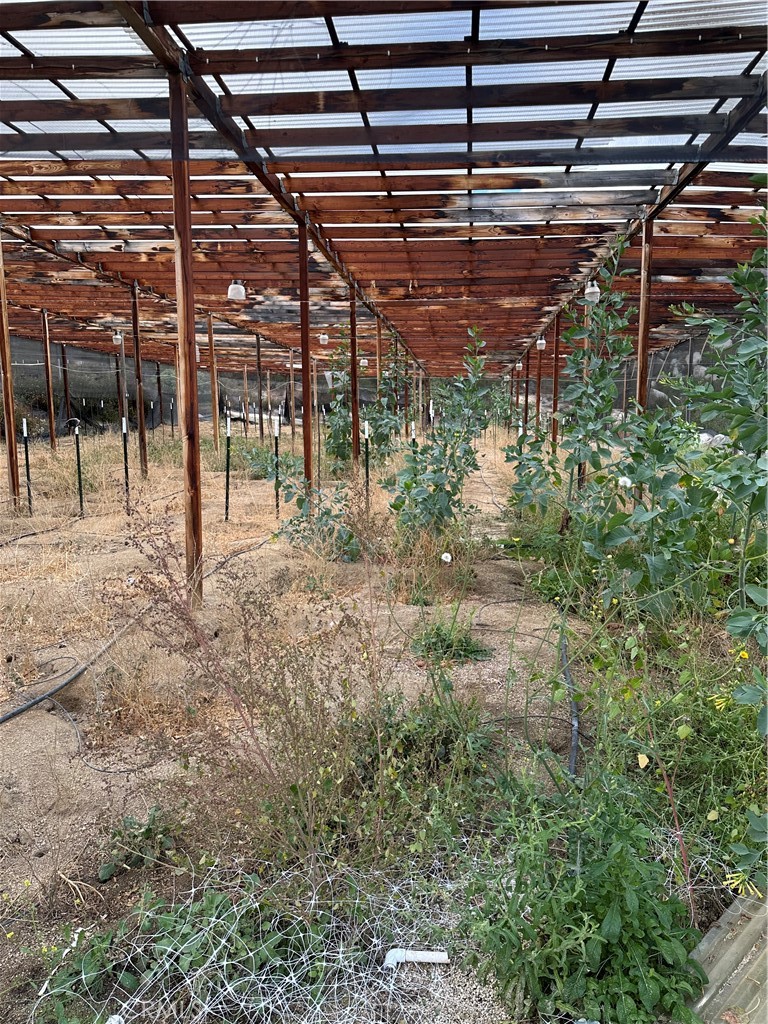 MLS #SW25264147 image #43