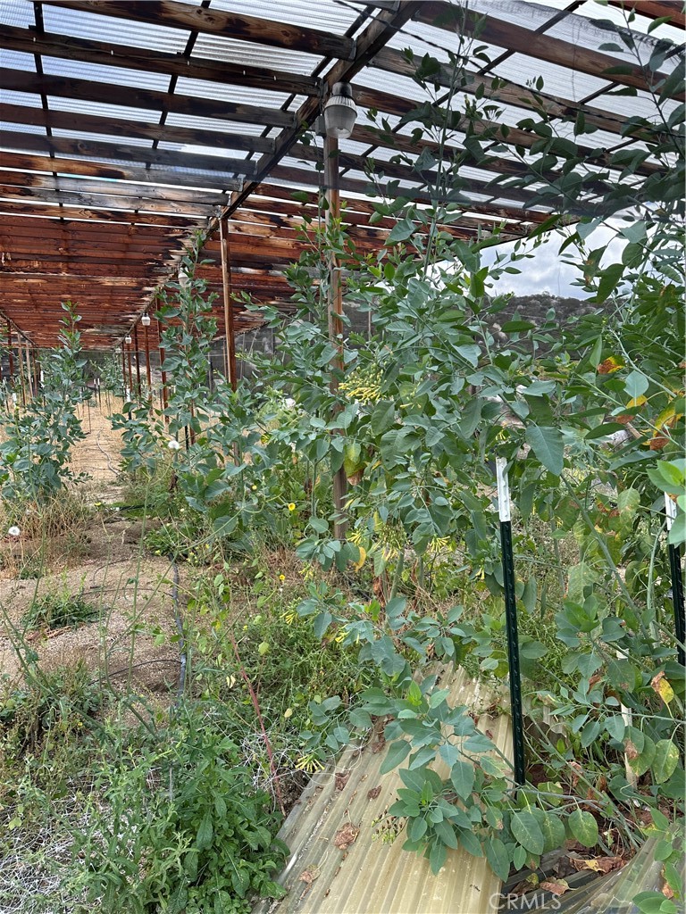 MLS #SW25264147 image #44