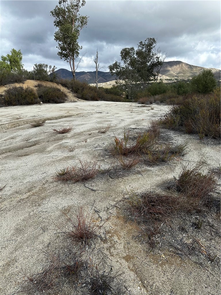 MLS #SW25264147 image #53