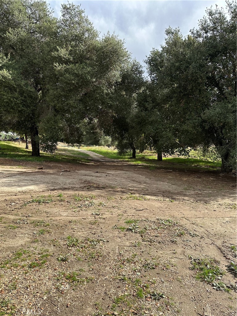 MLS #SW25264147 image #8