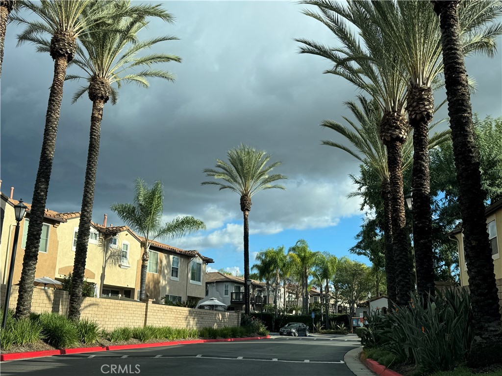 MLS #SW25264166 image #2