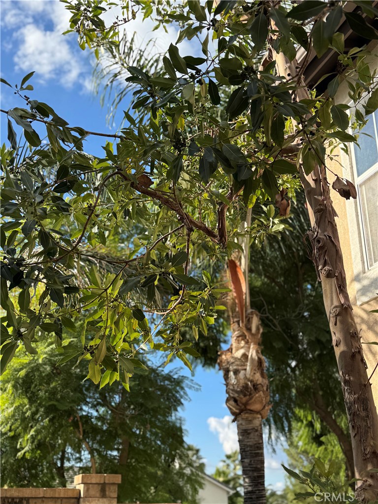 MLS #SW25264166 image #43