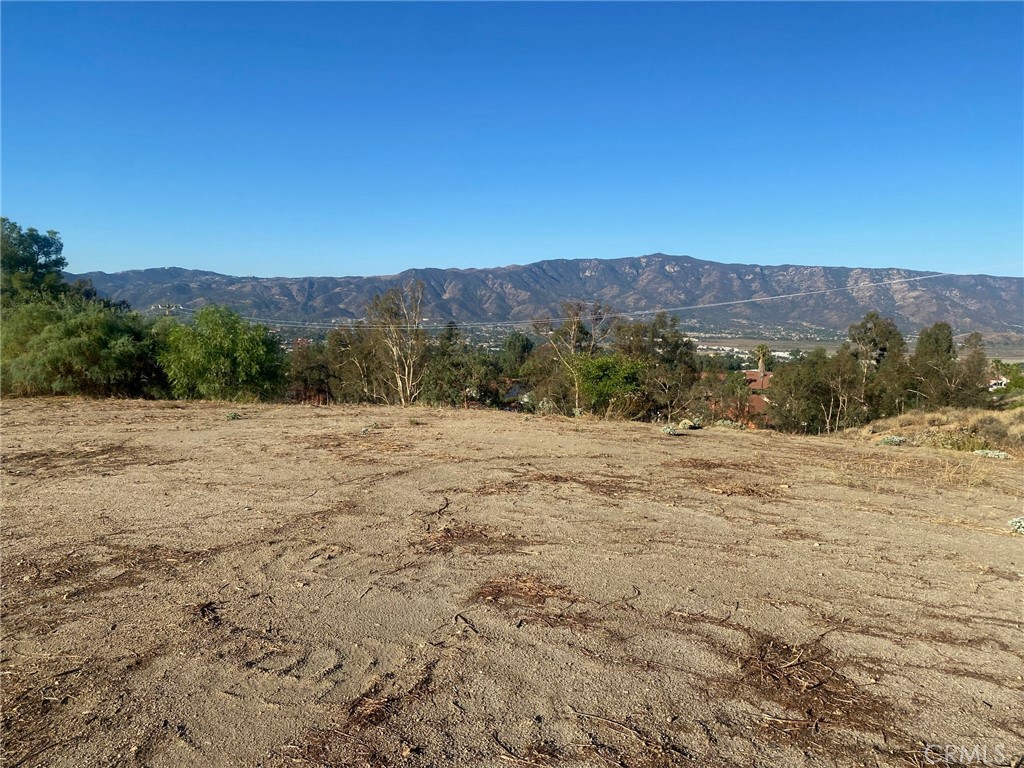 MLS #SW25264884 image #6