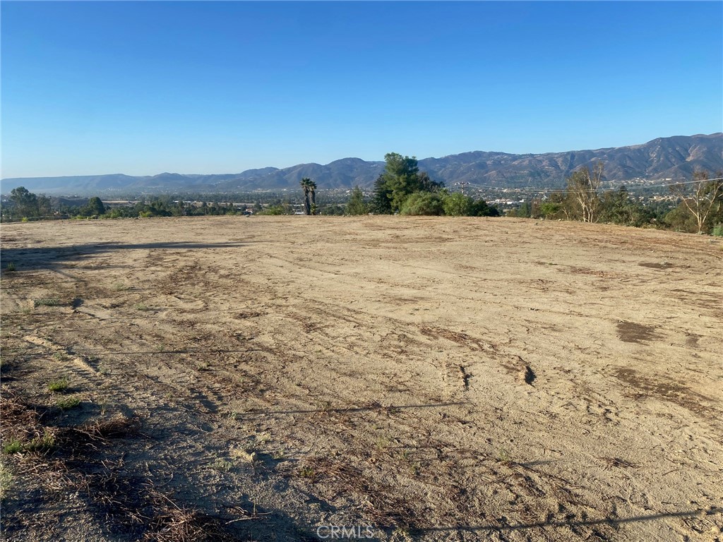 MLS #SW25264884 image #7