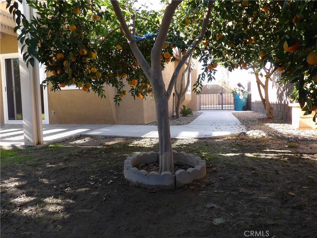 MLS #SW25265298 image #27