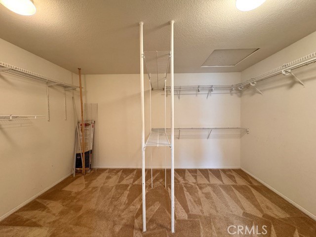 MLS #SW25265528 image #29