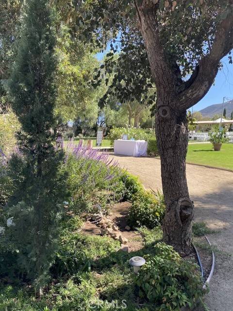 MLS #SW25266524 image #1