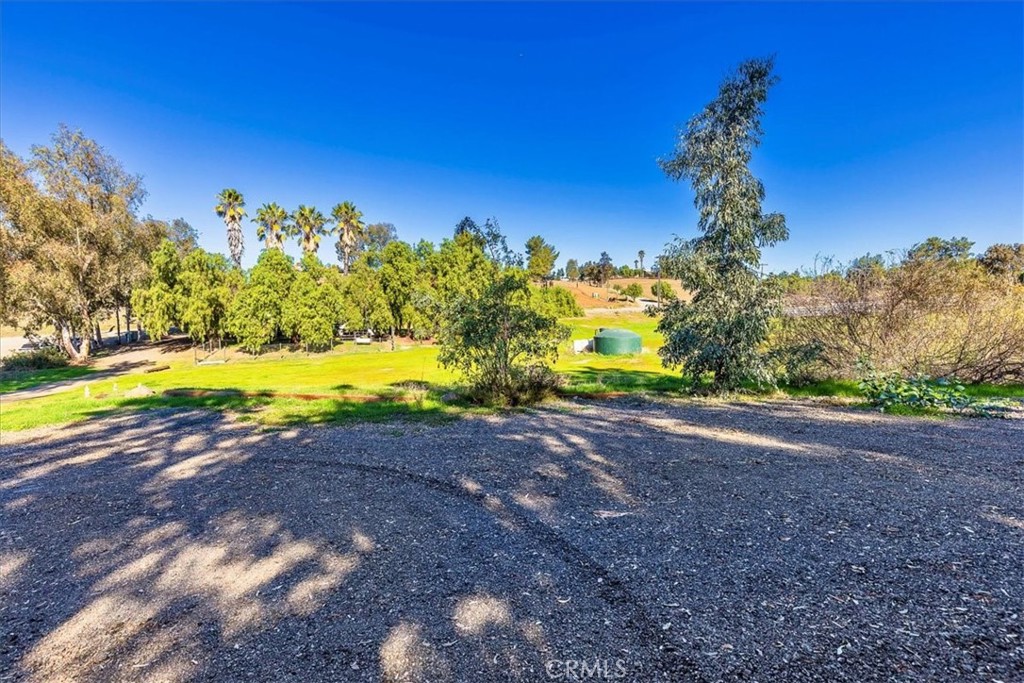 MLS #SW25266524 image #37