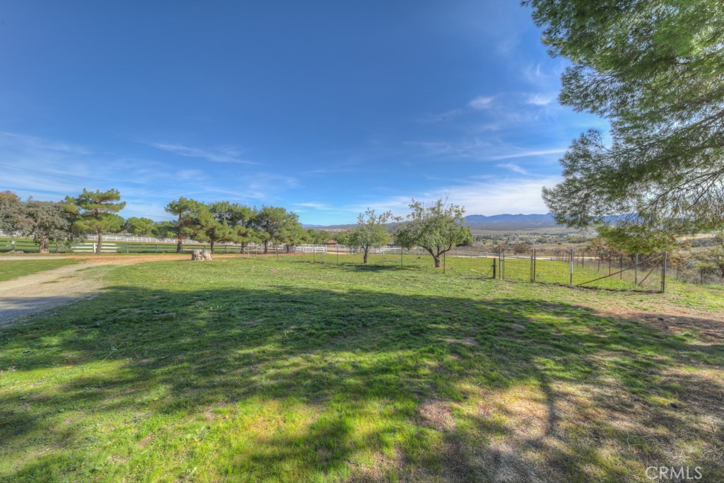 MLS #SW25266709 image #17