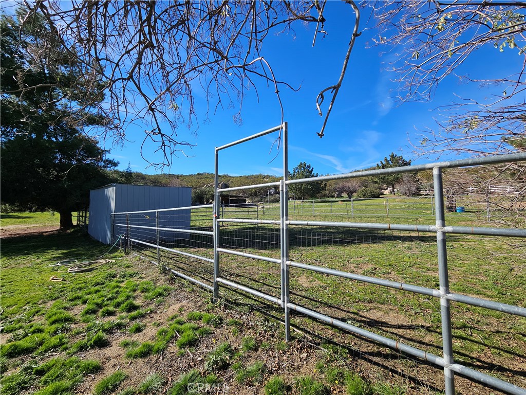 MLS #SW25266709 image #4