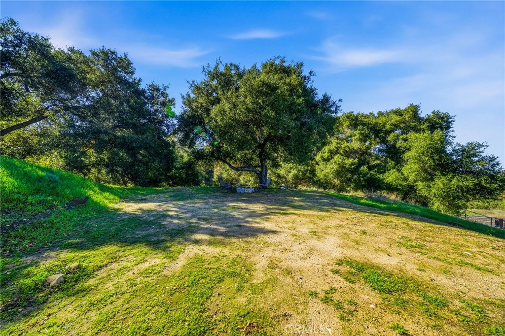 MLS #SW25267179 image #71