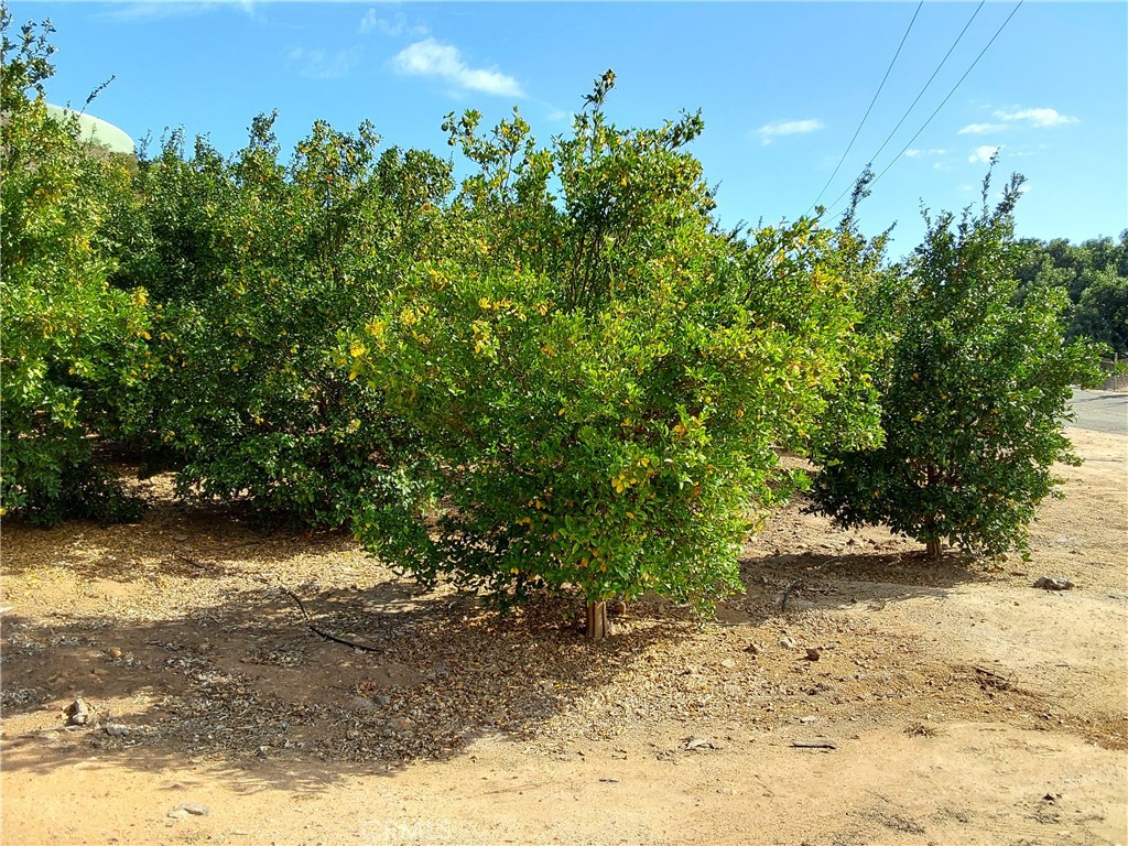 MLS #SW25267195 image #1