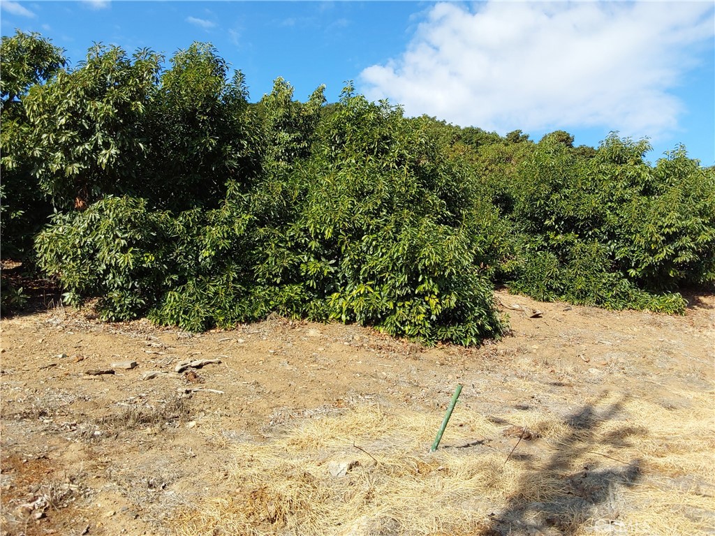 MLS #SW25267195 image #10